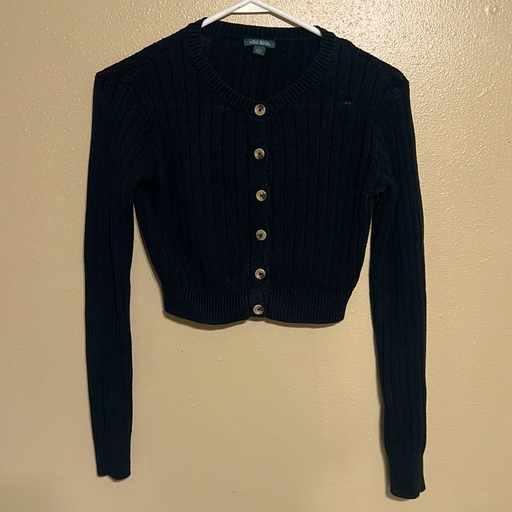 Wild fable (L) crop top sweater